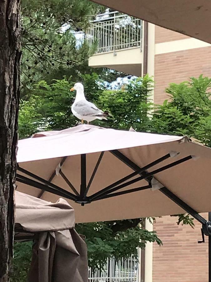 Elsa Hotel Milano Marittima
